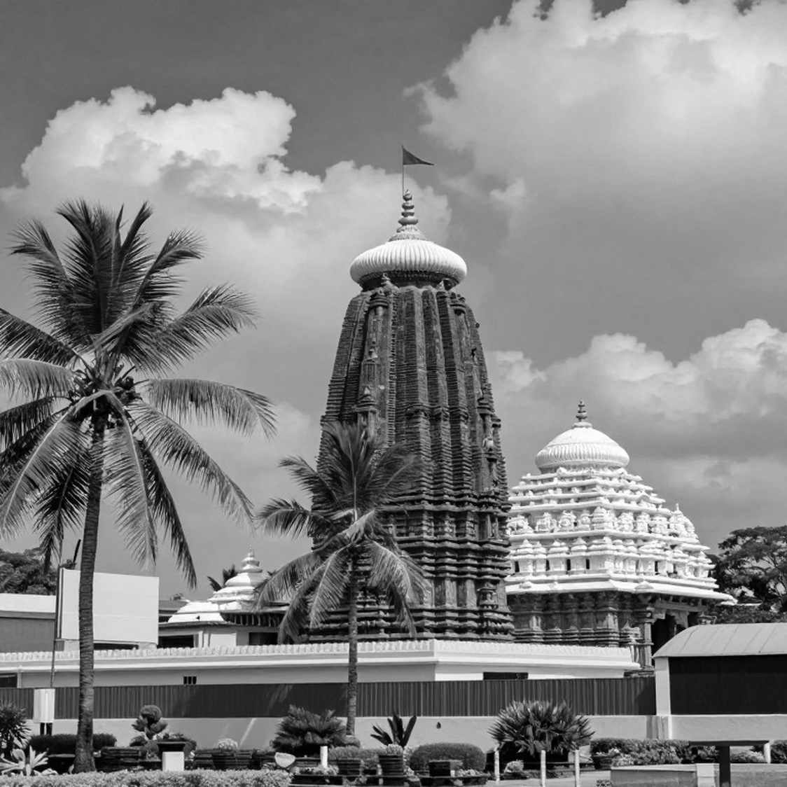 ভ্যালোরেন্ট চায়না: পার্টনারশিপ সংকোচনের ছায়ায় উলভসের ২-০ জয়